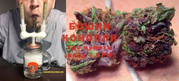 PSILOCYBIN Кулебаки