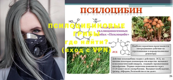 эйфоретик Куйбышев