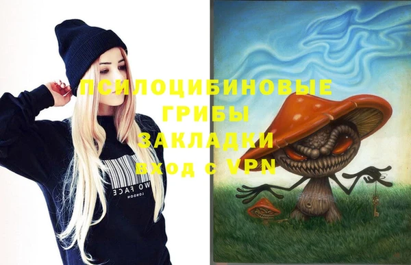 PSILOCYBIN Кулебаки