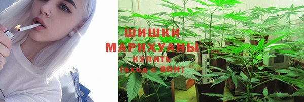 PSILOCYBIN Кулебаки