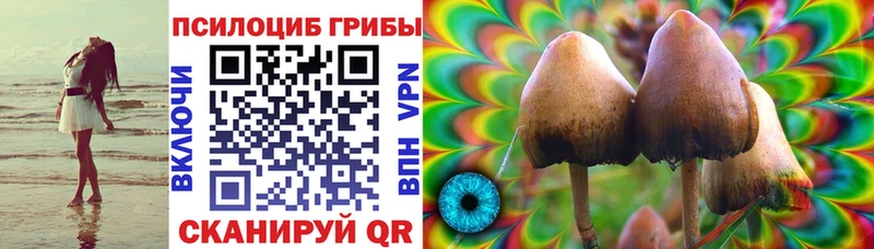 Купить  Томск  Галлюциногенные грибы мухоморы 